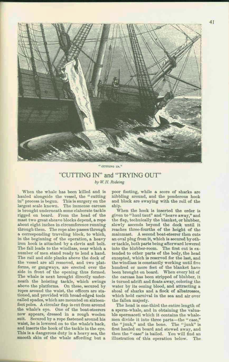 19th century whaling tales. vist0089m